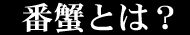 �z�O���Ɂ@�ԊI�Ƃ́H