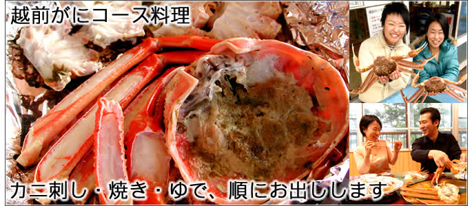 越前がに 昼食 夕食 越前がにコース料理