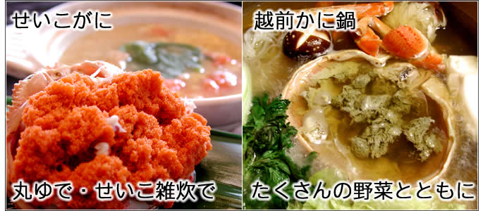越前がに 昼食 夕食 せいこがに 越前かに鍋