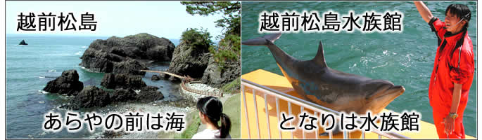 店は 越前松島公園にあります
