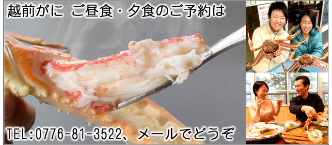 越前がに 越前かに 昼食 夕食の ご予約