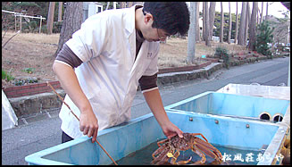 「越前がに」のいけす