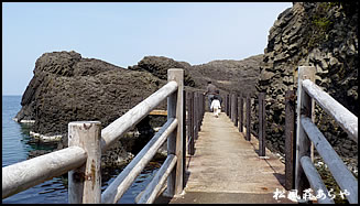 越前がに 越前かに 宿泊 「宿がある越前松島」