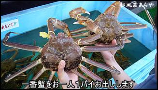 越前がにスペシャルプラン