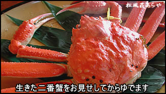 越前がに二番蟹プラン
