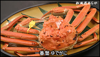 越前がにスペシャルプラン