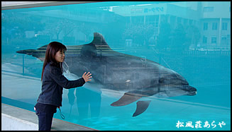 越前がに 越前かに 宿泊 「越前松島水族館」