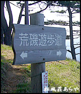 越前がに 越前かに 宿泊 「東尋坊」