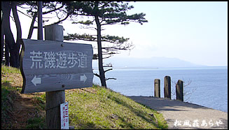 越前がに 越前かに 宿泊 「東尋坊」