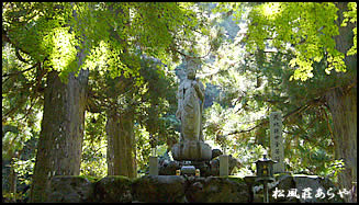 越前がに 越前かに 宿泊 「永平寺」