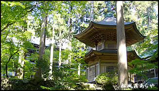 越前がに 越前かに 宿泊 「永平寺」