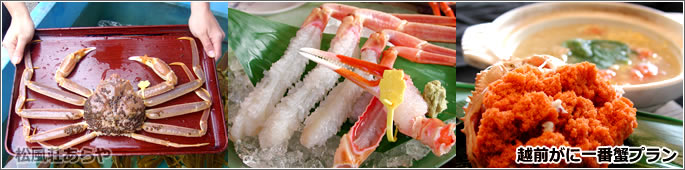 一泊二食つきご宿泊:越前がに(越前かに)一番蟹プラン