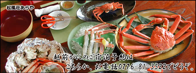 越前がに ご宿泊の ご予約