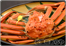 越前がに(越前かに) 食事・昼食・夕食:ゆでがに