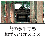 冬の永平寺も趣がありオススメ