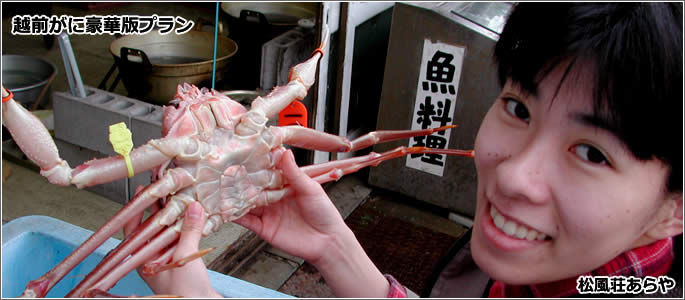 越前がに（越前かに） 宿泊：越前がに豪華版プラン