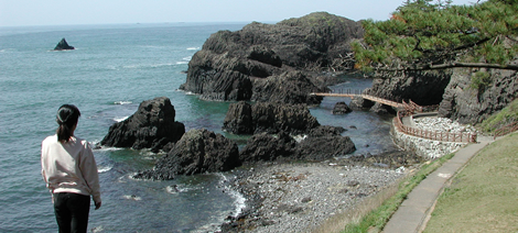 国定公園 越前松島