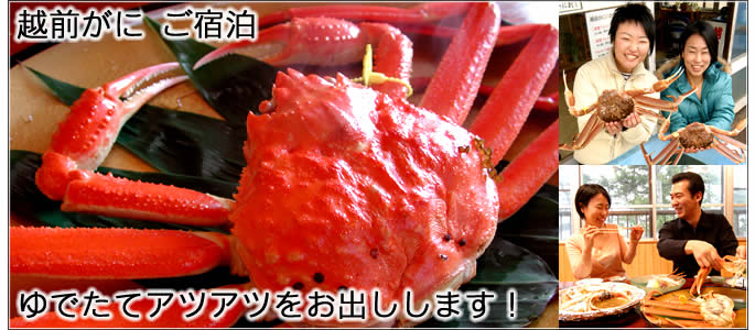 越前がに 越前かに ご宿泊