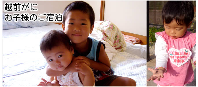 越前がに 越前かに お子様のご宿泊