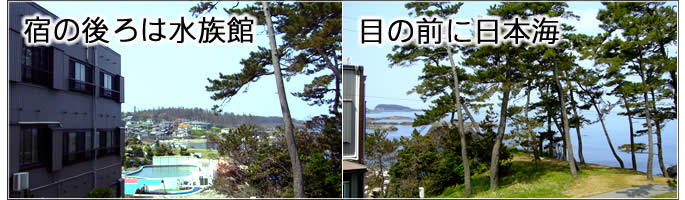 越前がに 宿泊 宿の前は日本海