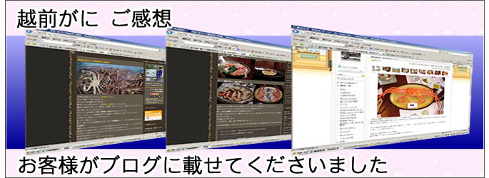 越前がに ご感想 お客様がブログに載せてくださいました