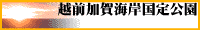 越前がに 越前かに 昼食 民宿 三国温泉あらやバナー3