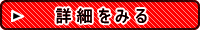 越前がに 越前かに お食事 ご昼食 夕食