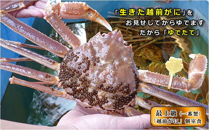 越前松島水族館スライドショー