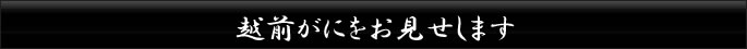越前がに 越前かに をお見せします