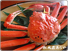 越前がに ゆでがに