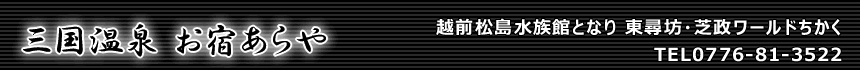 三国温泉 民宿あらやロゴ