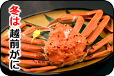 冬は 越前がに 昼食 宿泊