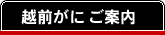 越前がに