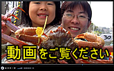 民宿あらやへようこそ