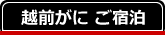 越前がに ご宿泊