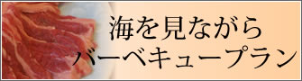 バーベキュープラン
