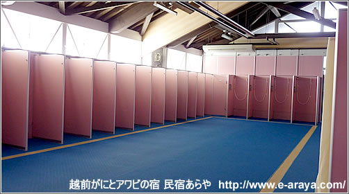 芝政ワールド