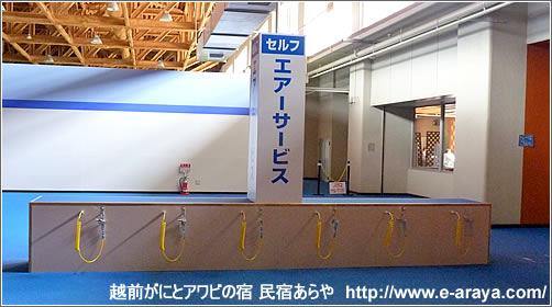 芝政ワールド