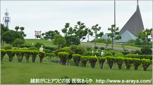 芝政ワールド