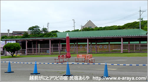 芝政ワールド