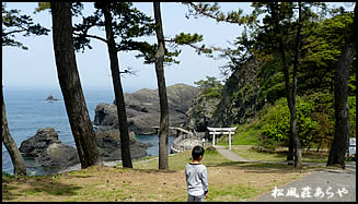 越前がに 越前かに 宿泊 「宿がある越前松島」
