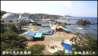 越前松島水族館